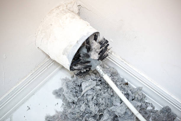 Best Air Duct Sanitizing Services  in Wlowbrook, IL